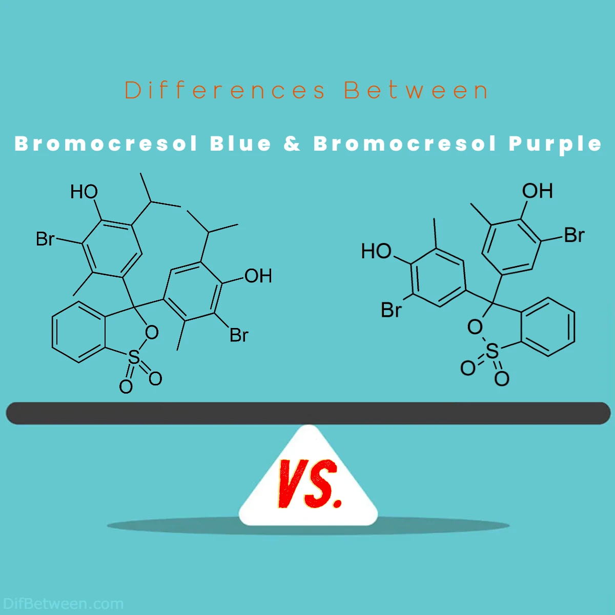 Differences Between Bromocresol Blue vs Bromocresol Purple