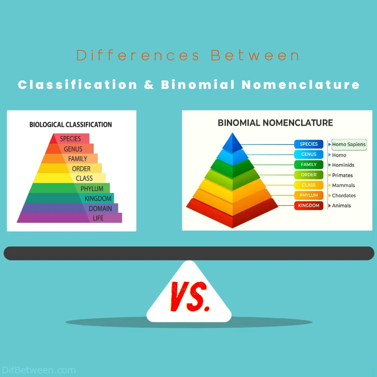Differences Between Classification vs Binomial Nomenclature