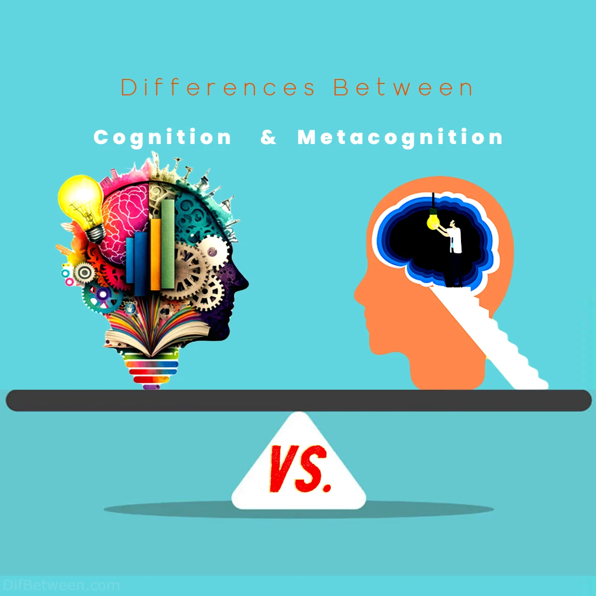 Differences Between Cognition vs Metacognition