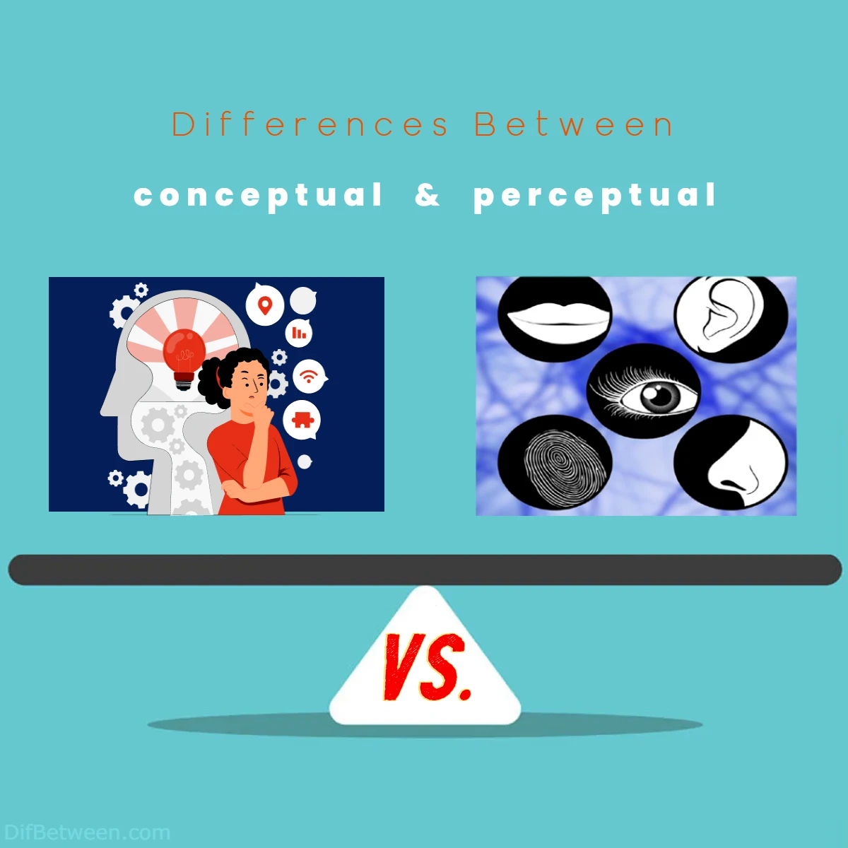 Differences Between Conceptual vs Perceptual
