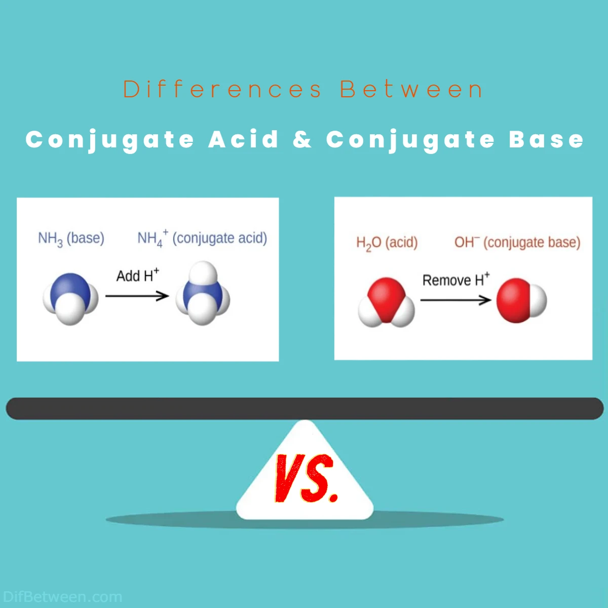 Differences Between Conjugate Acid vs Conjugate Base