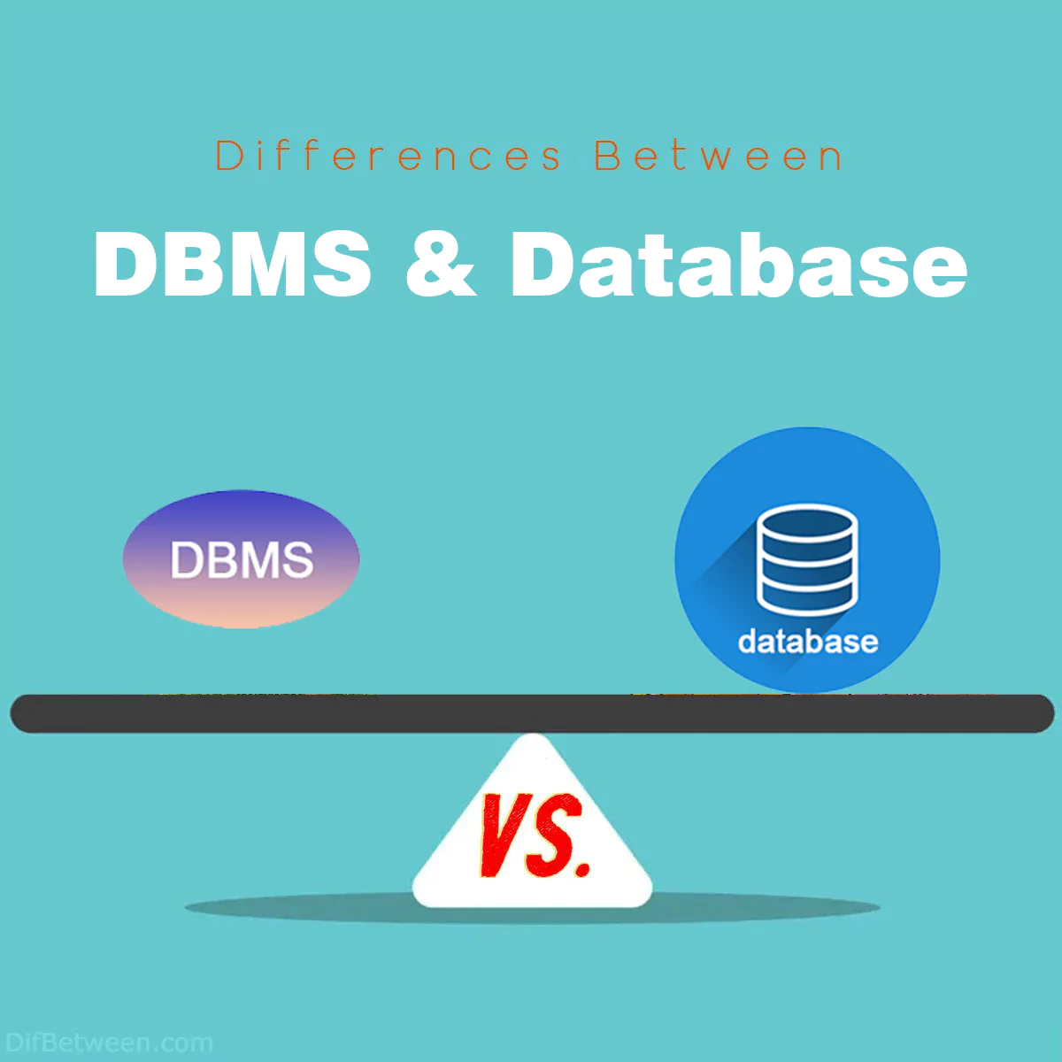 Differences Between DBMS and Database