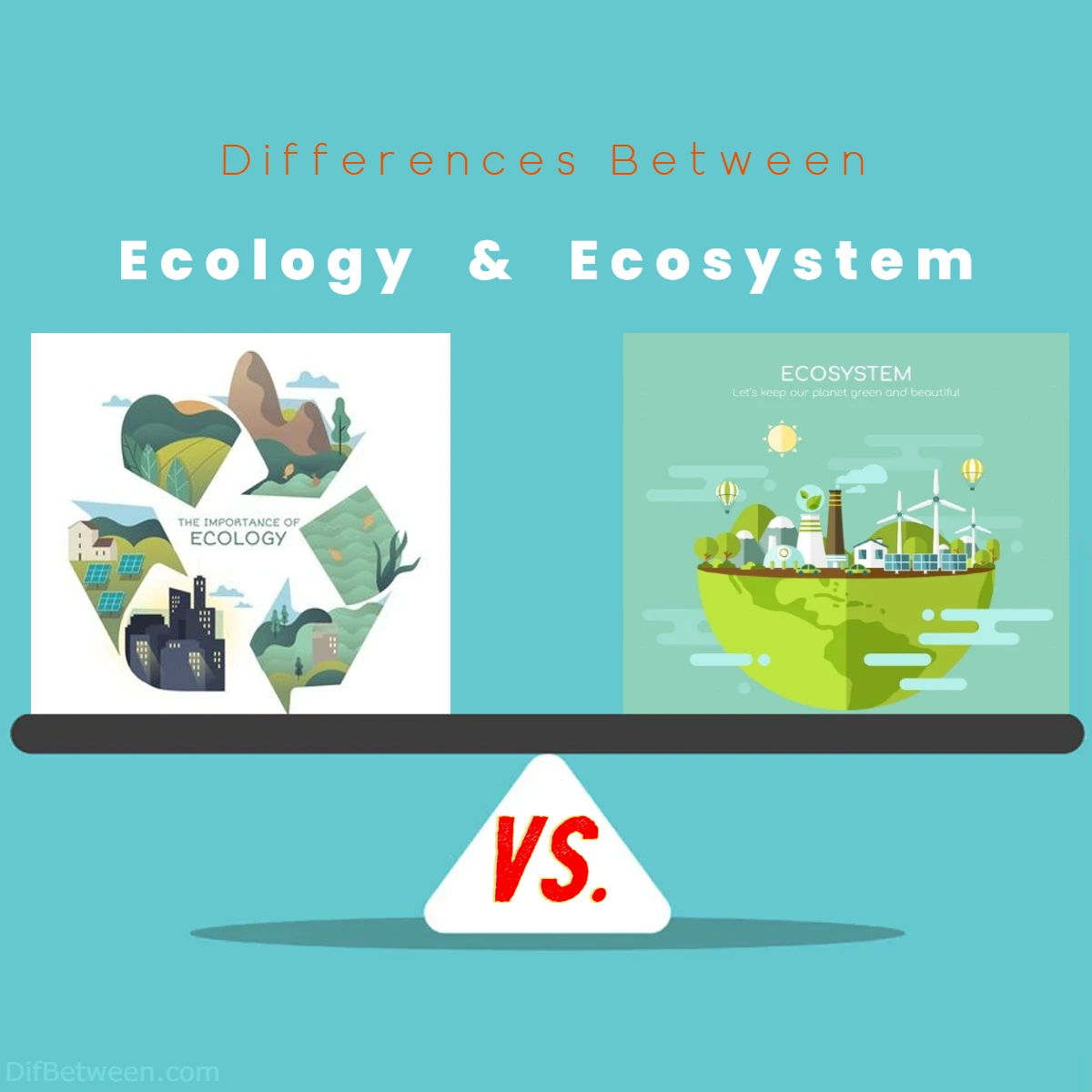 Differences Between Ecology vs Ecosystem