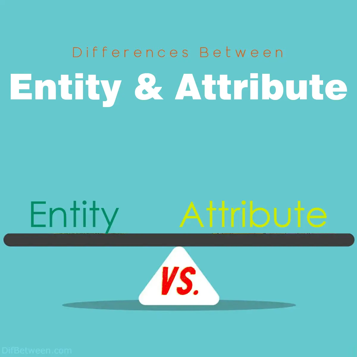 Differences Between Entity and Attribute