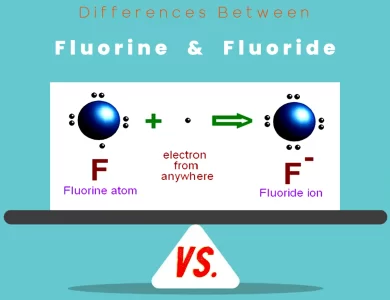 Differences Between Fluorine vs Fluoride