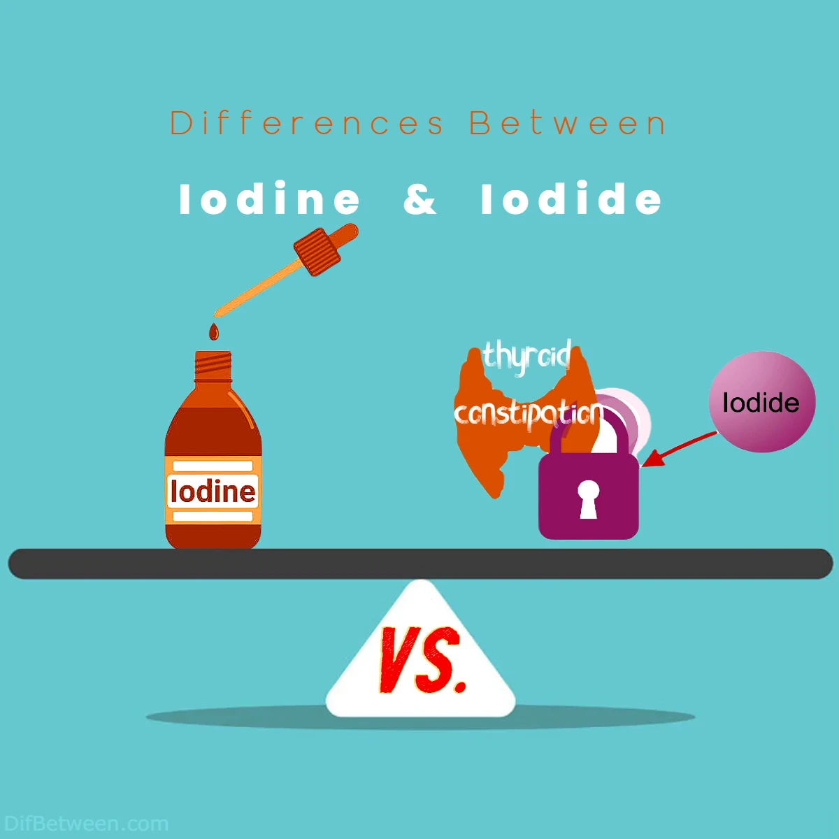 Differences Between Iodine vs Iodide