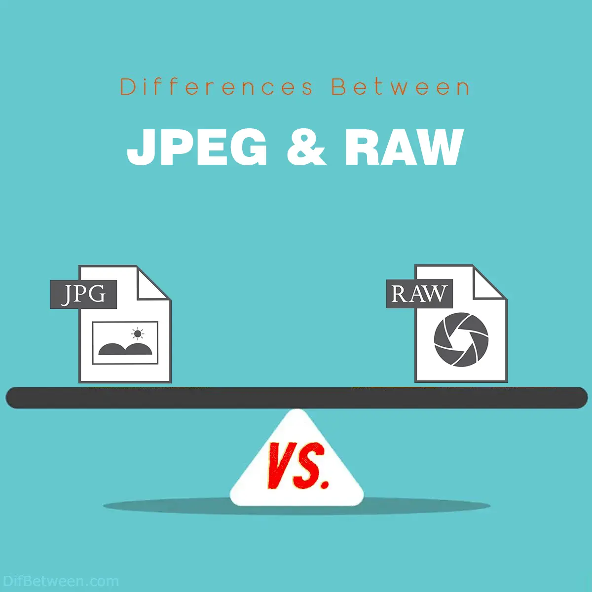 Differences Between JPEG and RAW