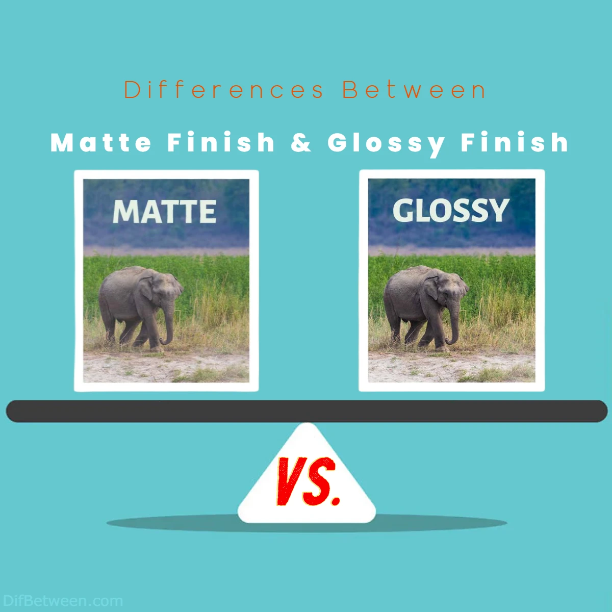 Differences Between Matte Finish vs Glossy Finish