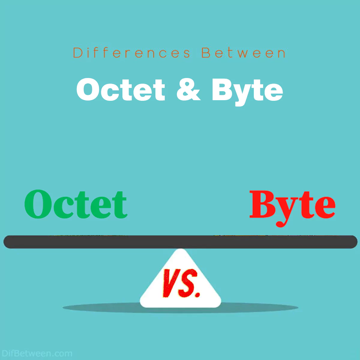 Differences Between Octet and Byte