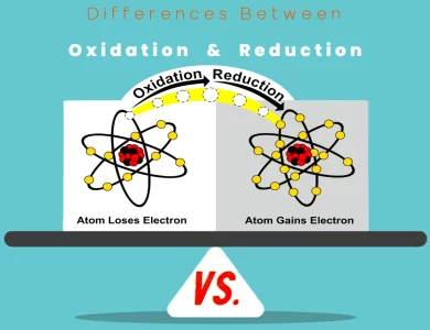 Differences Between Oxidation vs Reduction