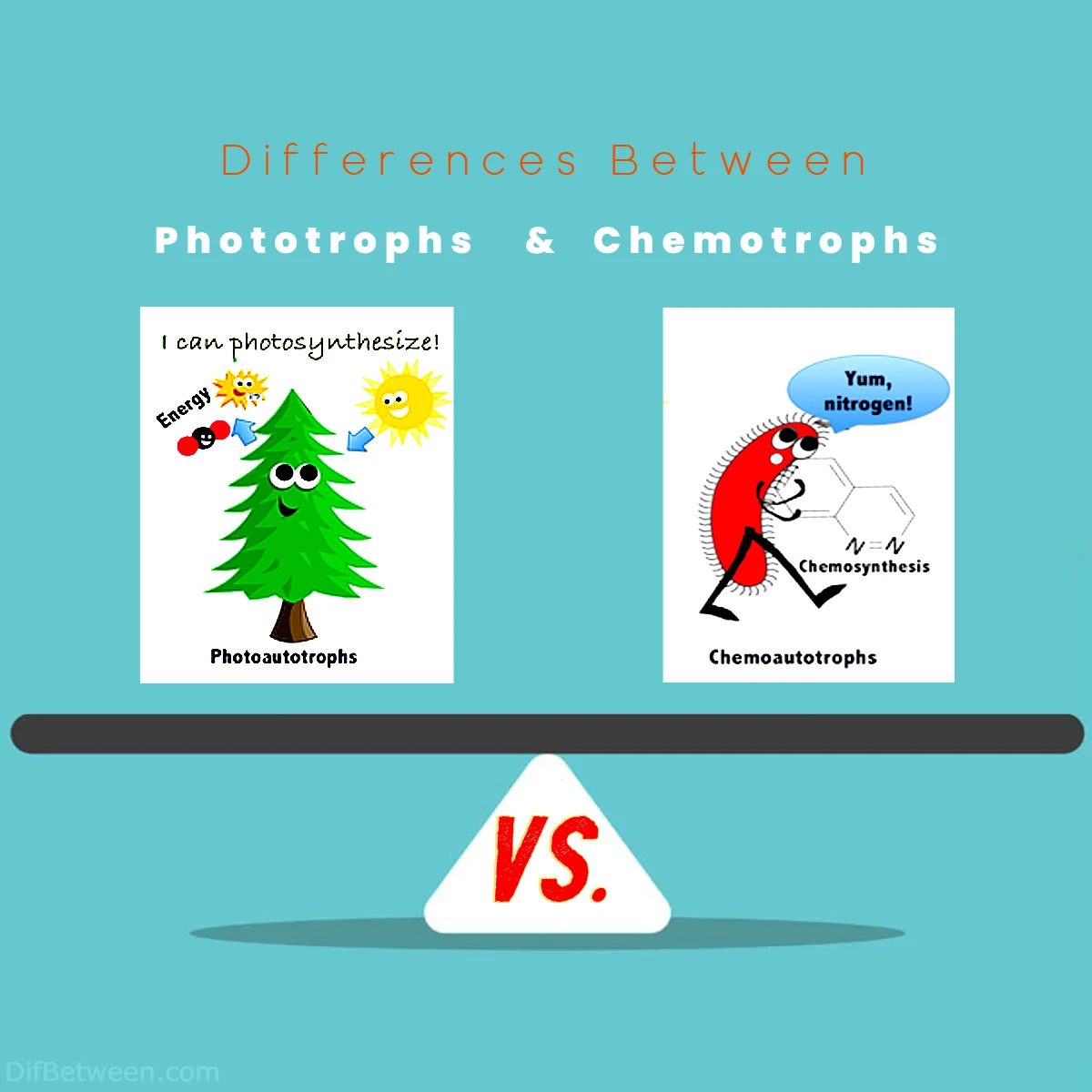 Phototrophs Vs Chemotrophs Key Differences Unveiled