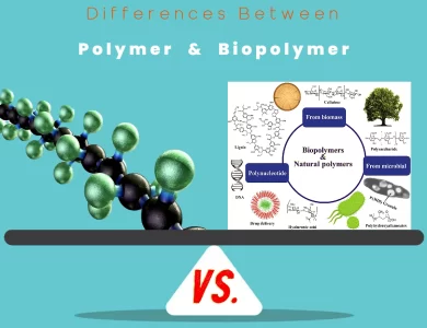 Differences Between Polymer vs Biopolymer