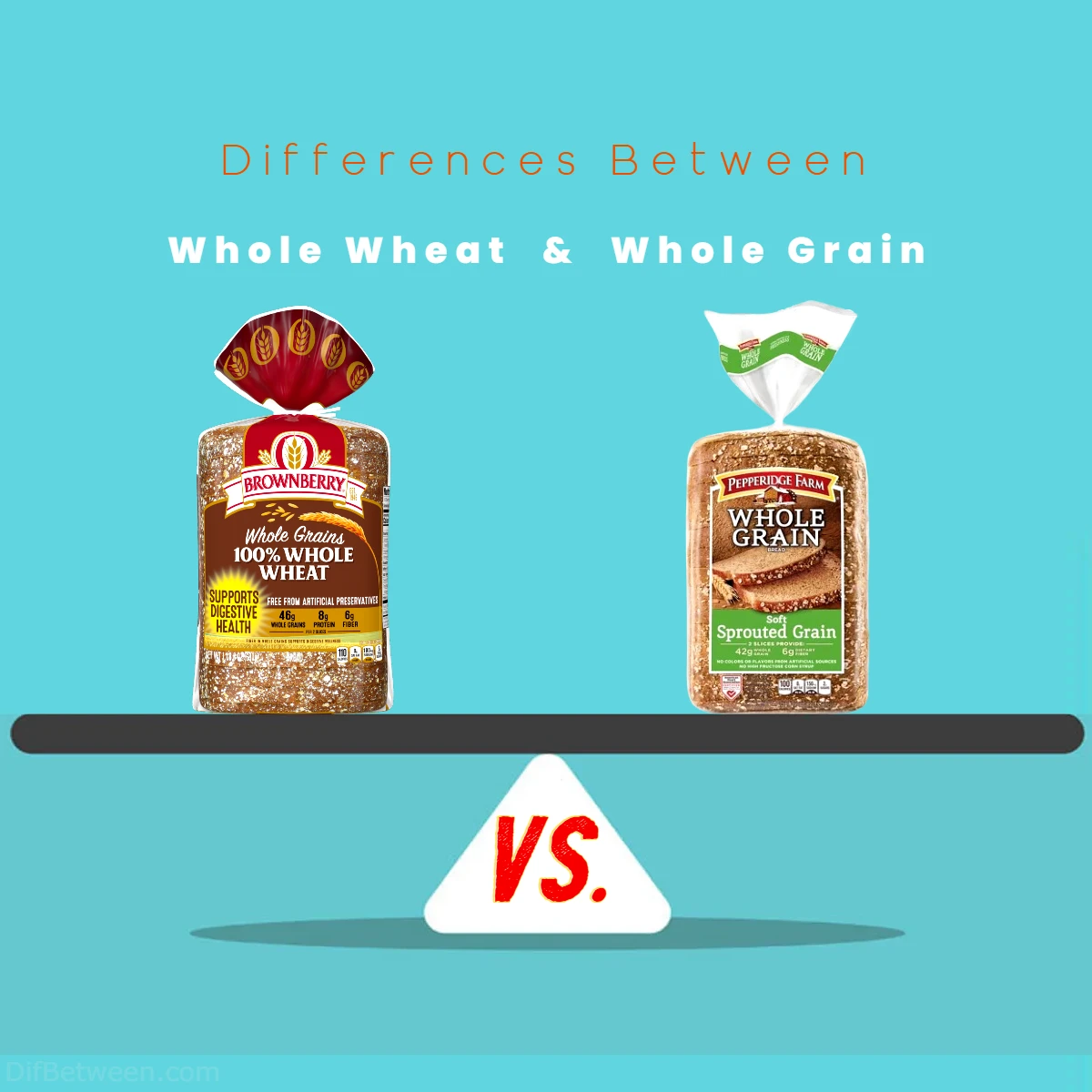 Differences Between Whole Wheat vs Whole Grain