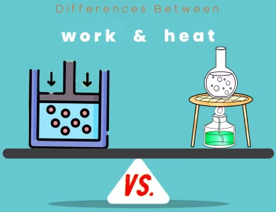 Differences Between work vs heat