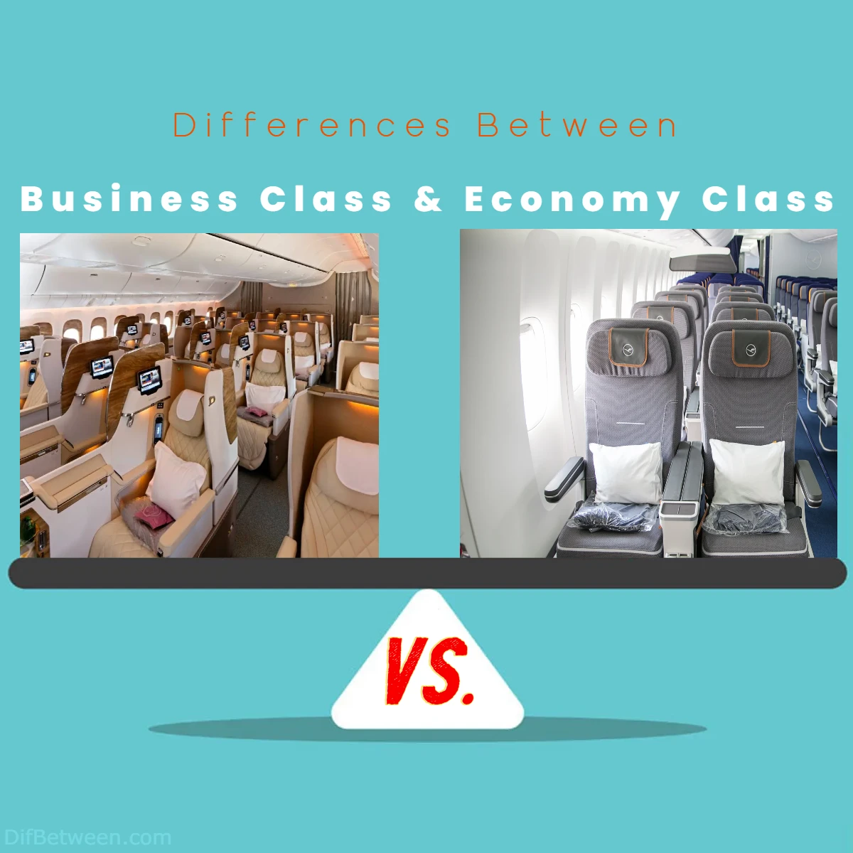 difference between Economy Class and Business Class