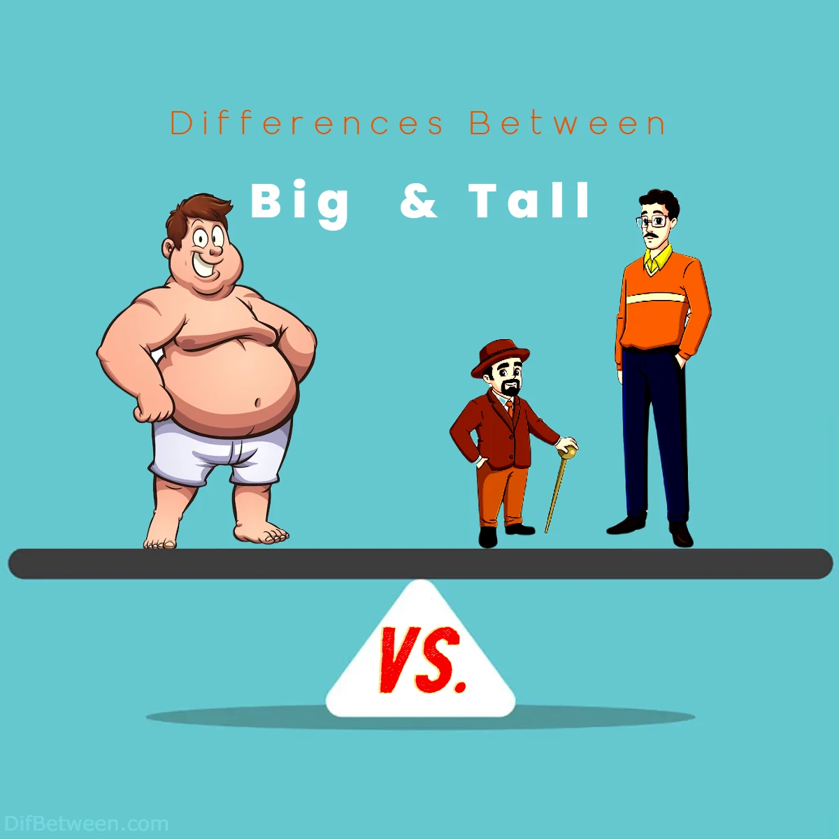 Differences Between Big vs Tall