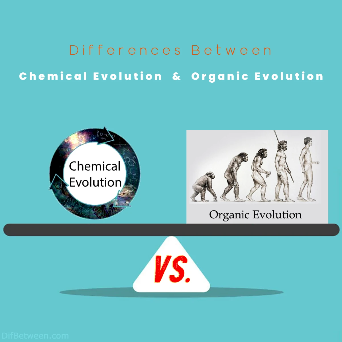 Differences Between Chemical vs Organic Evolution