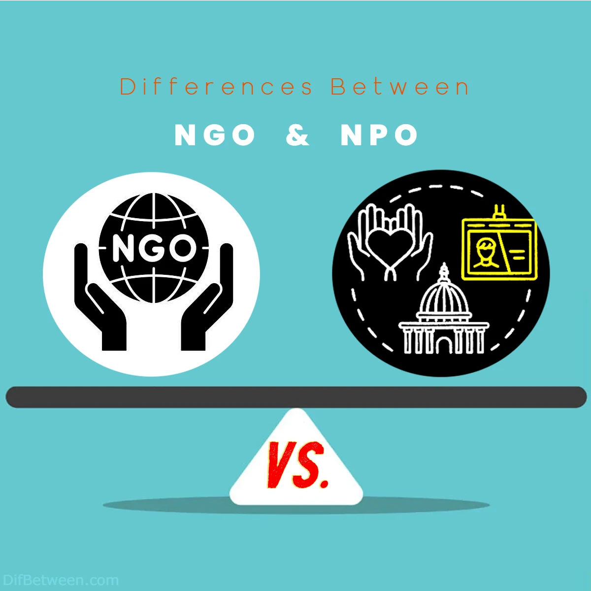 Differences Between NGO vs NPO