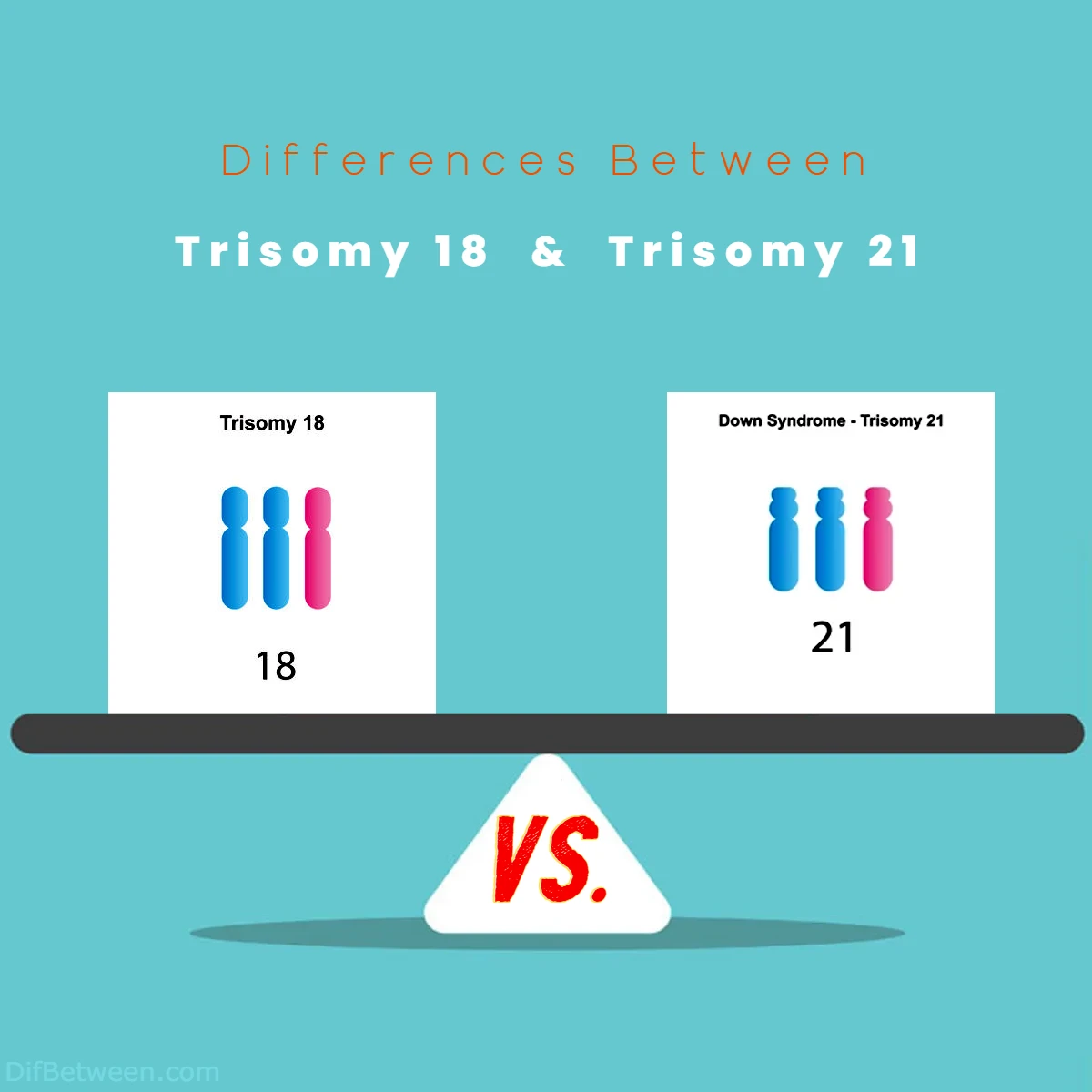 Differences Between Trisomy 18 vs 21