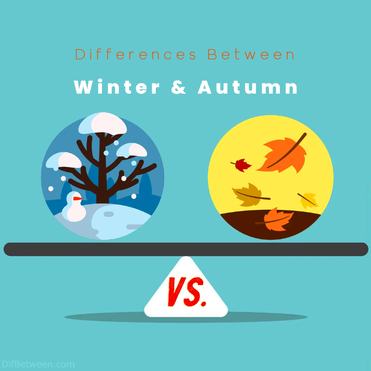 Differences Between Winter vs Autumn