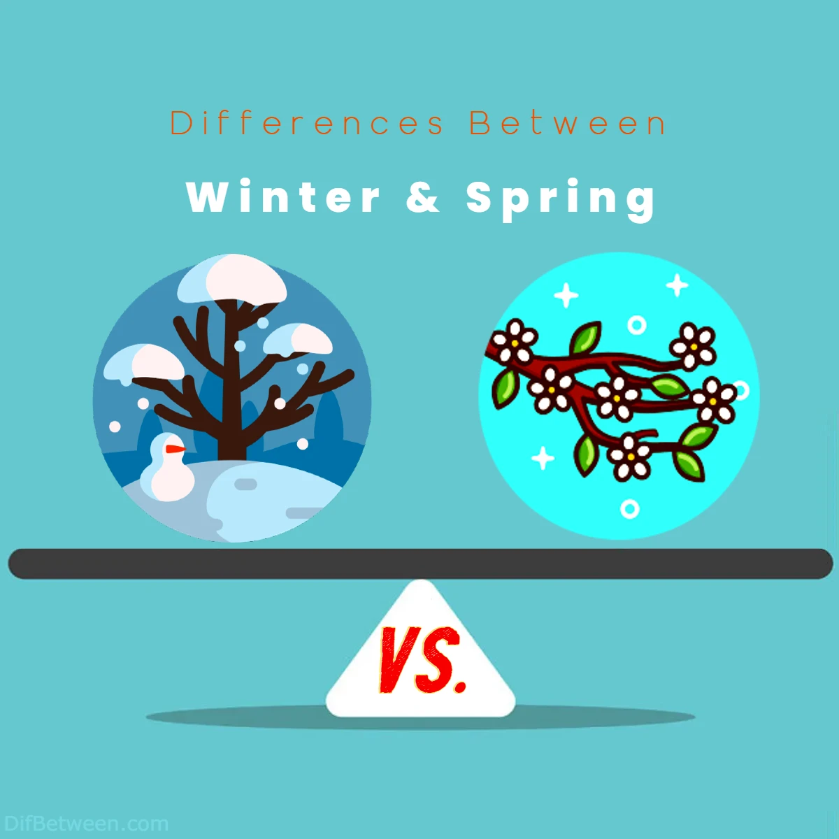 Differences Between Winter vs Spring