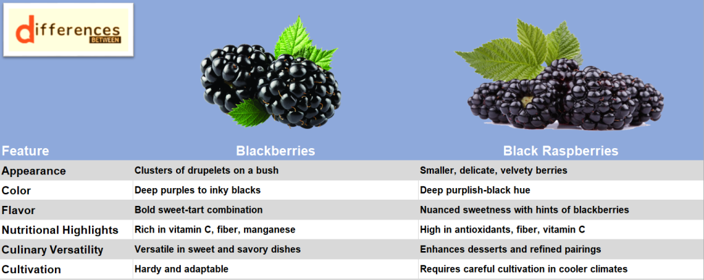 Blackberry vs Black Raspberry: Unveiling the Distinctions