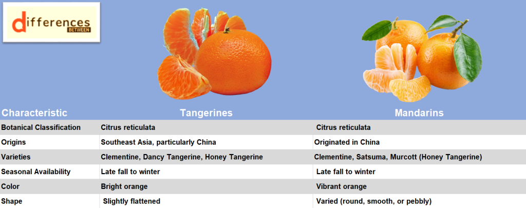 Tangerine Vs Mandarin Decoding The Citrus Conundrum