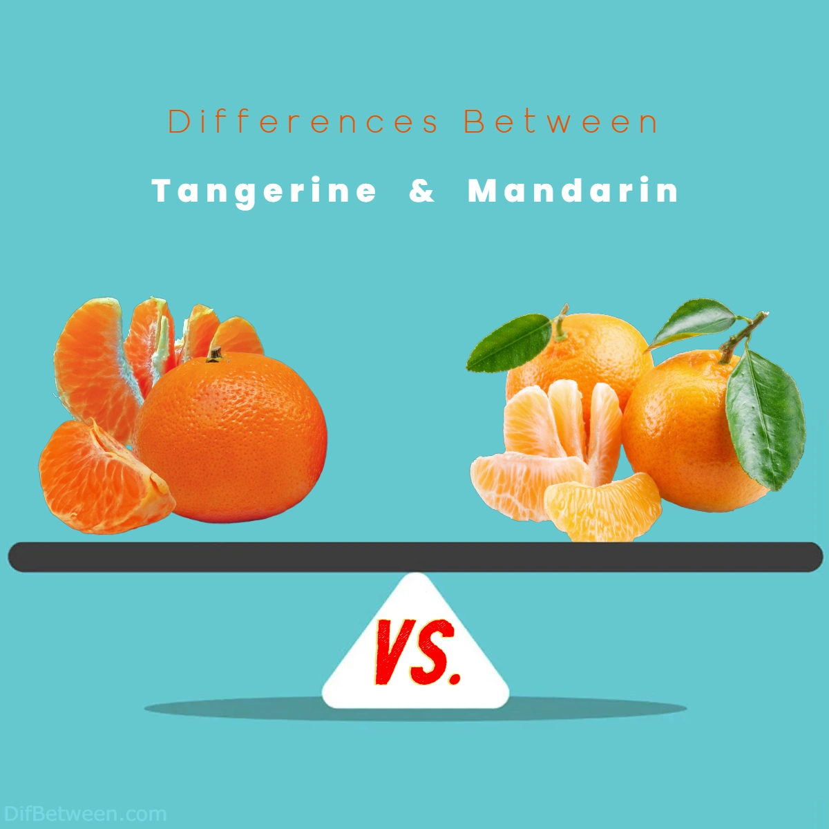 Difference Between Tangerine and Mandarin