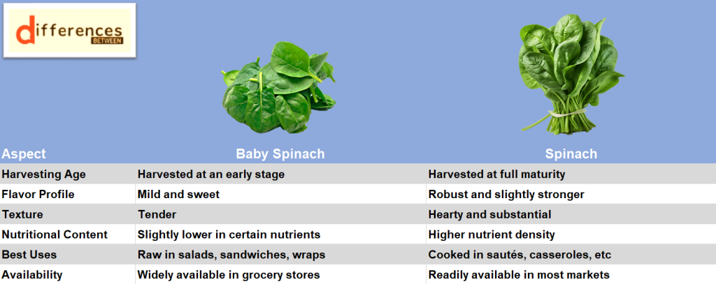 Dive into the Varied World of Greens: Baby Spinach vs. Spinach
