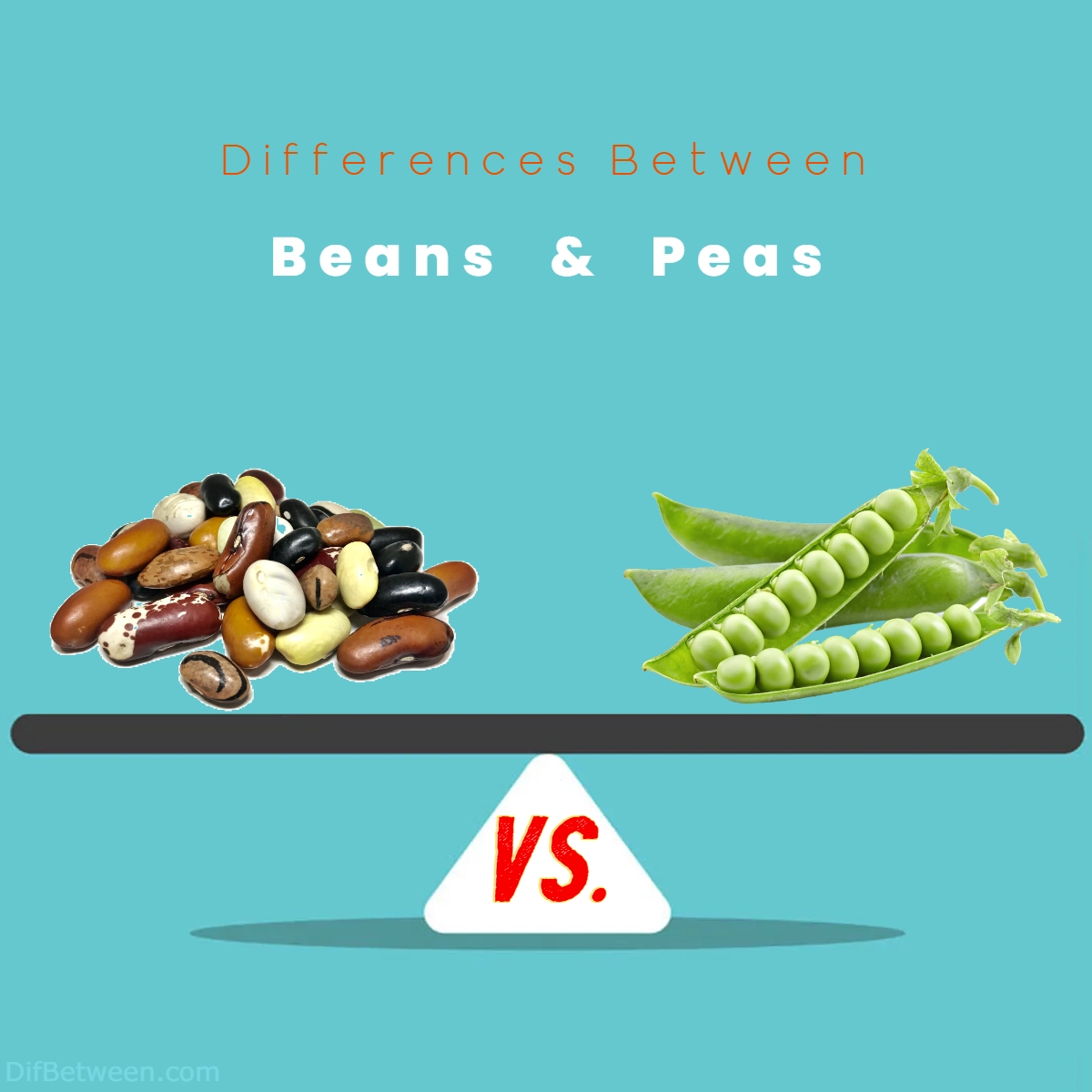 Difference Between Beans and Peas