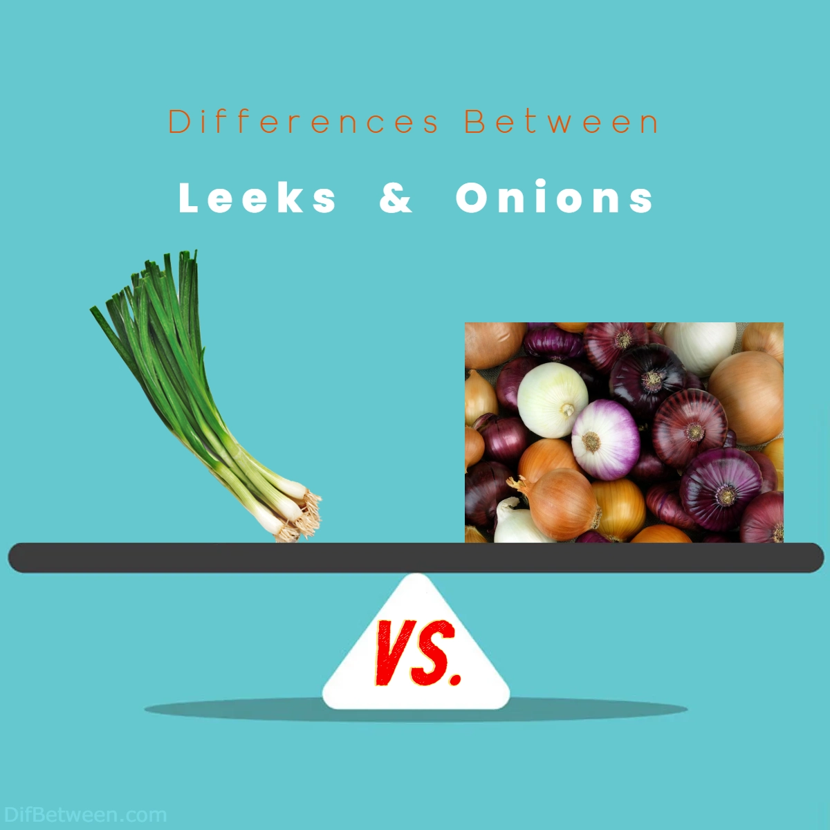 Difference Between Leeks and Onions