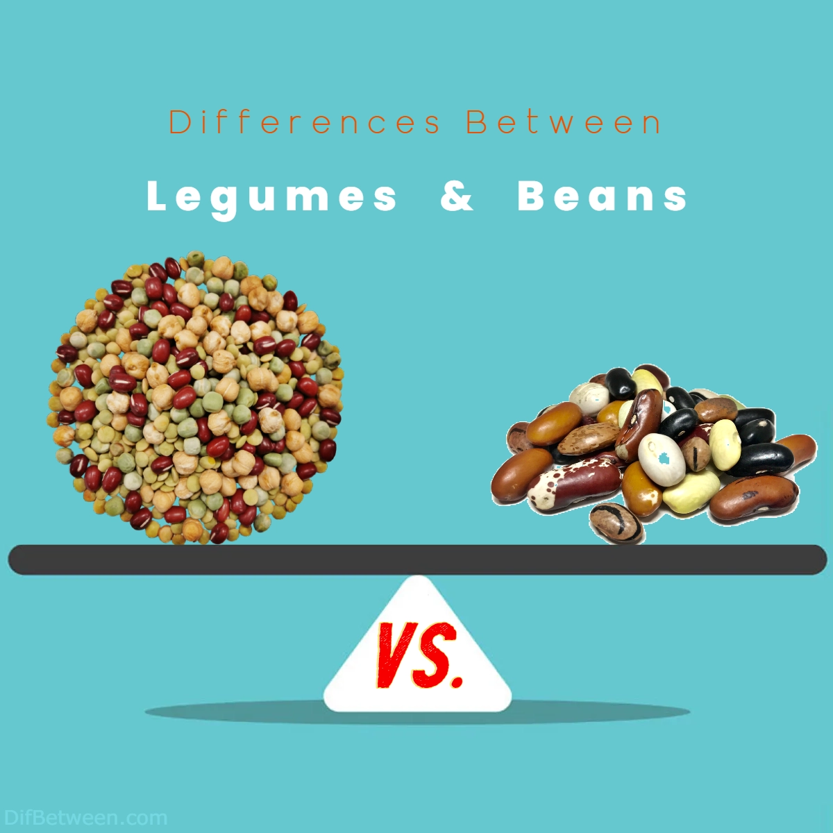 Difference Between Legumes and Beans
