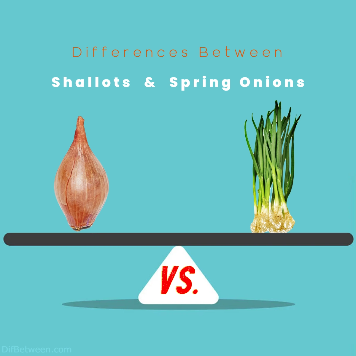Difference Between Shallots and Spring Onions