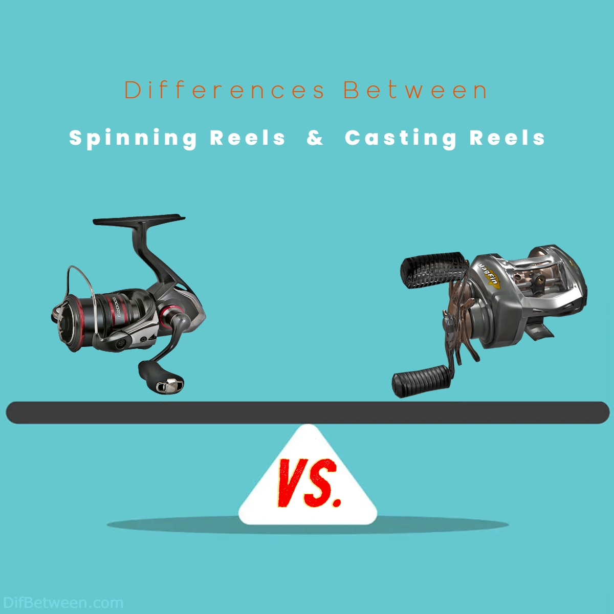 Difference Between Spinning and Casting Reels
