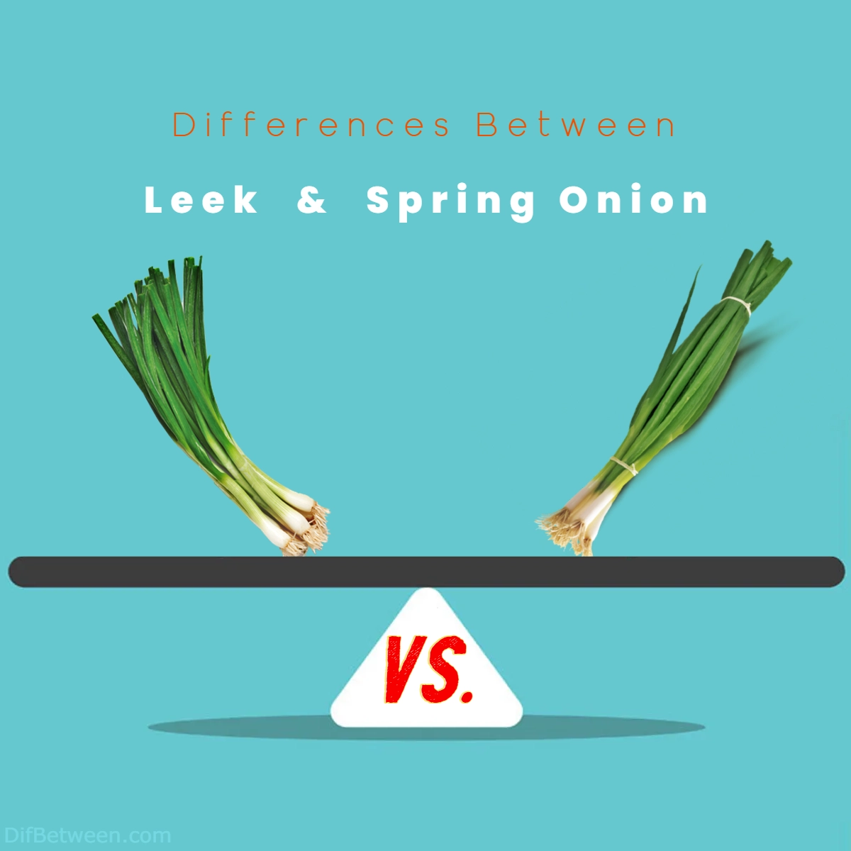 Differences Between Leek and Spring Onion