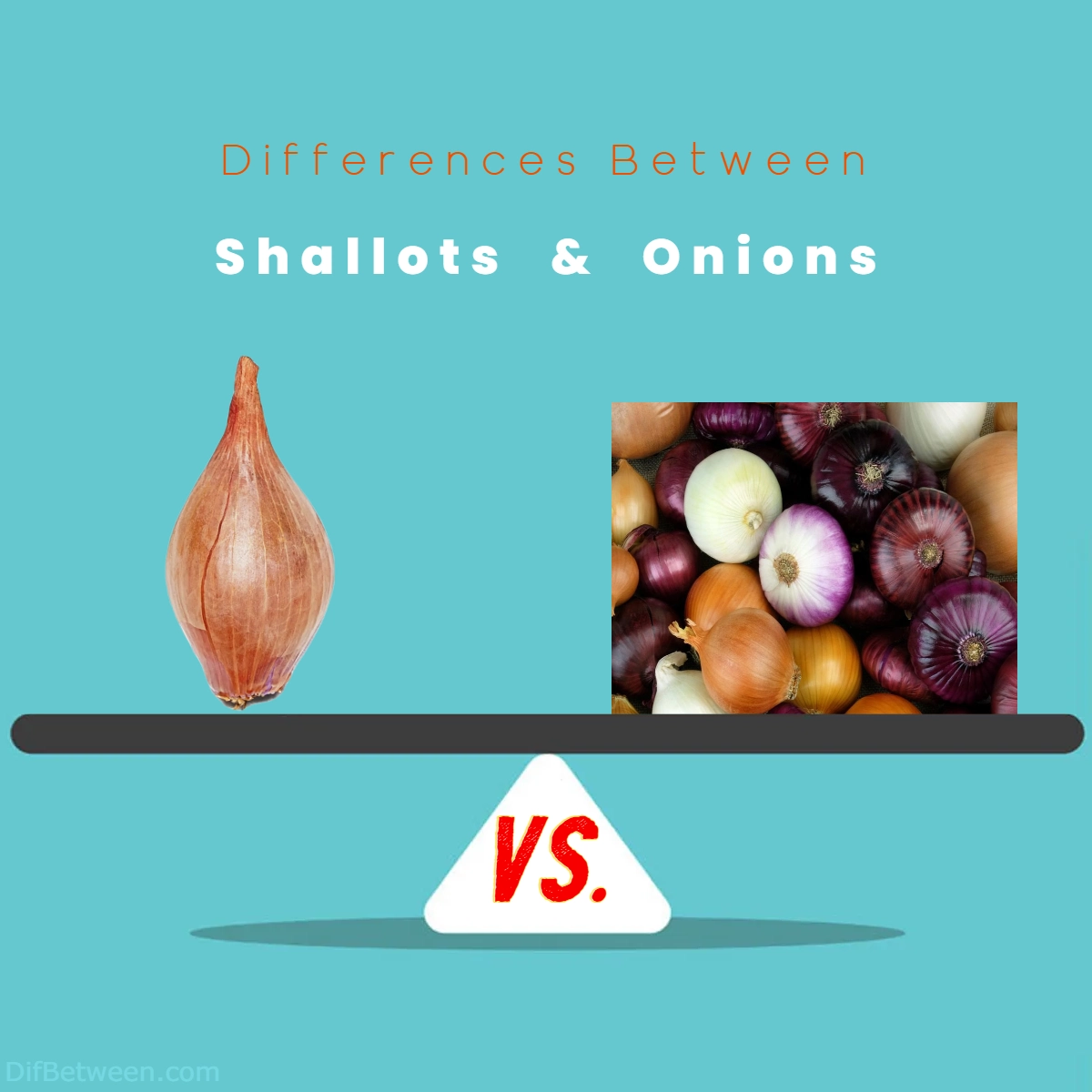 Differences Between Shallots and Onions