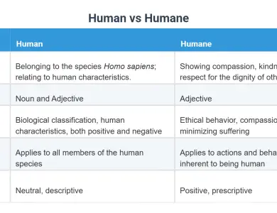Human Being vs Being Human