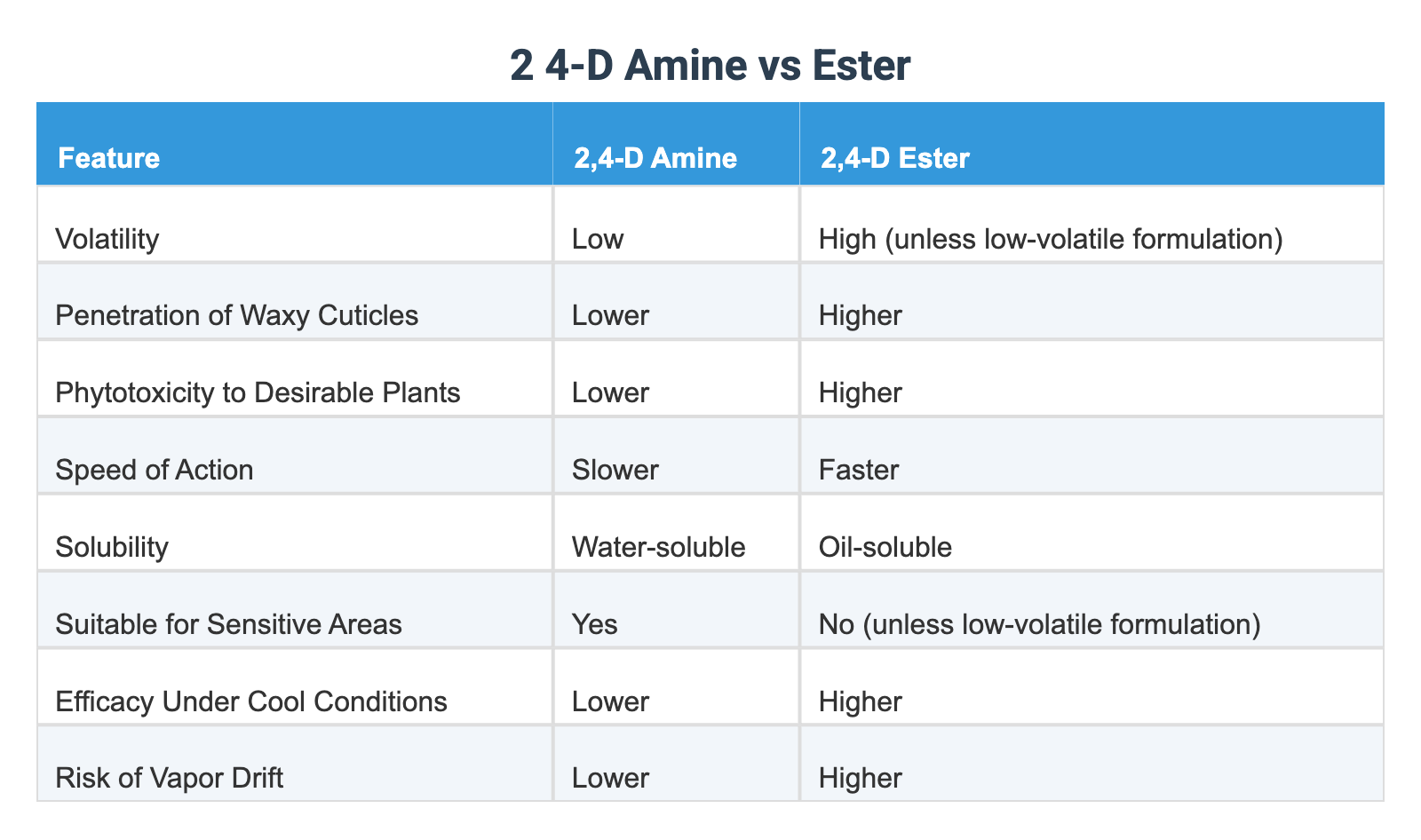 2 4 D Ester Vs Amine