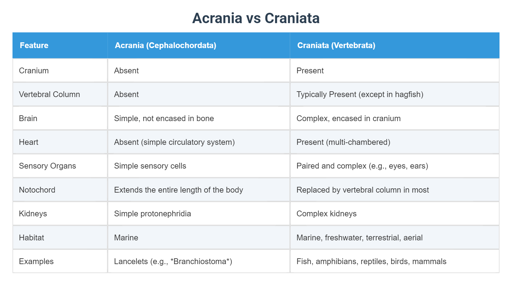 Acrania vs Craniata