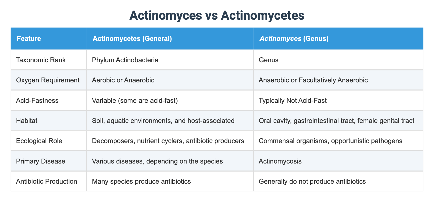 Actinomyces vs Actinomycetes