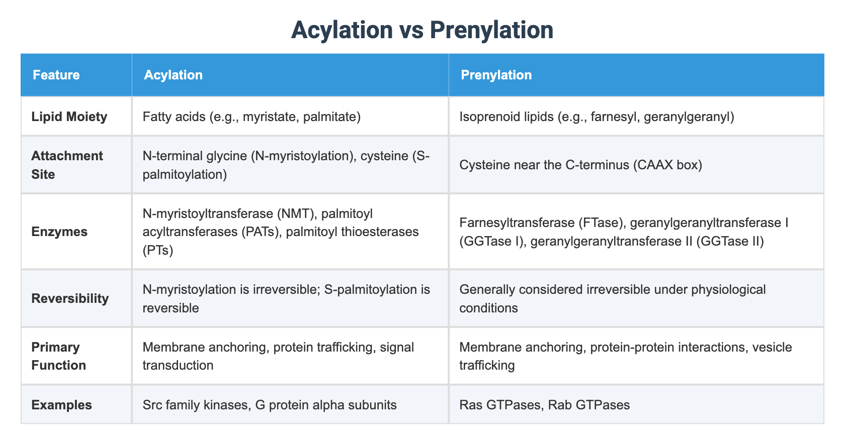 Acylation vs Prenylation