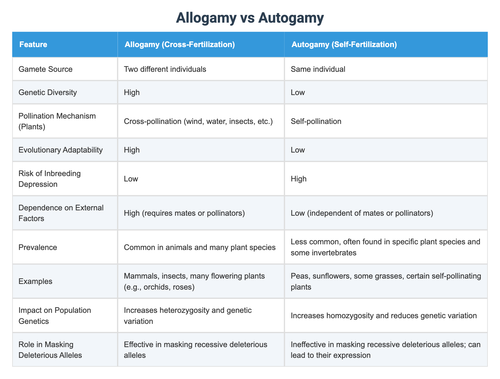 Allogamy vs Autogamy