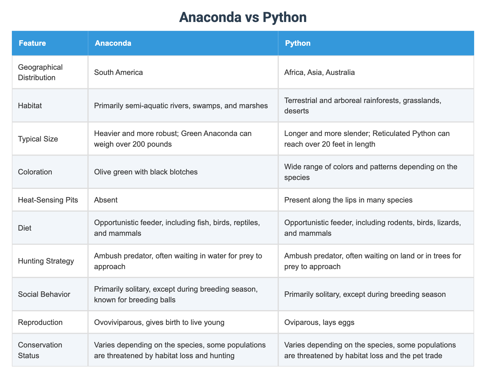 Anaconda vs Python