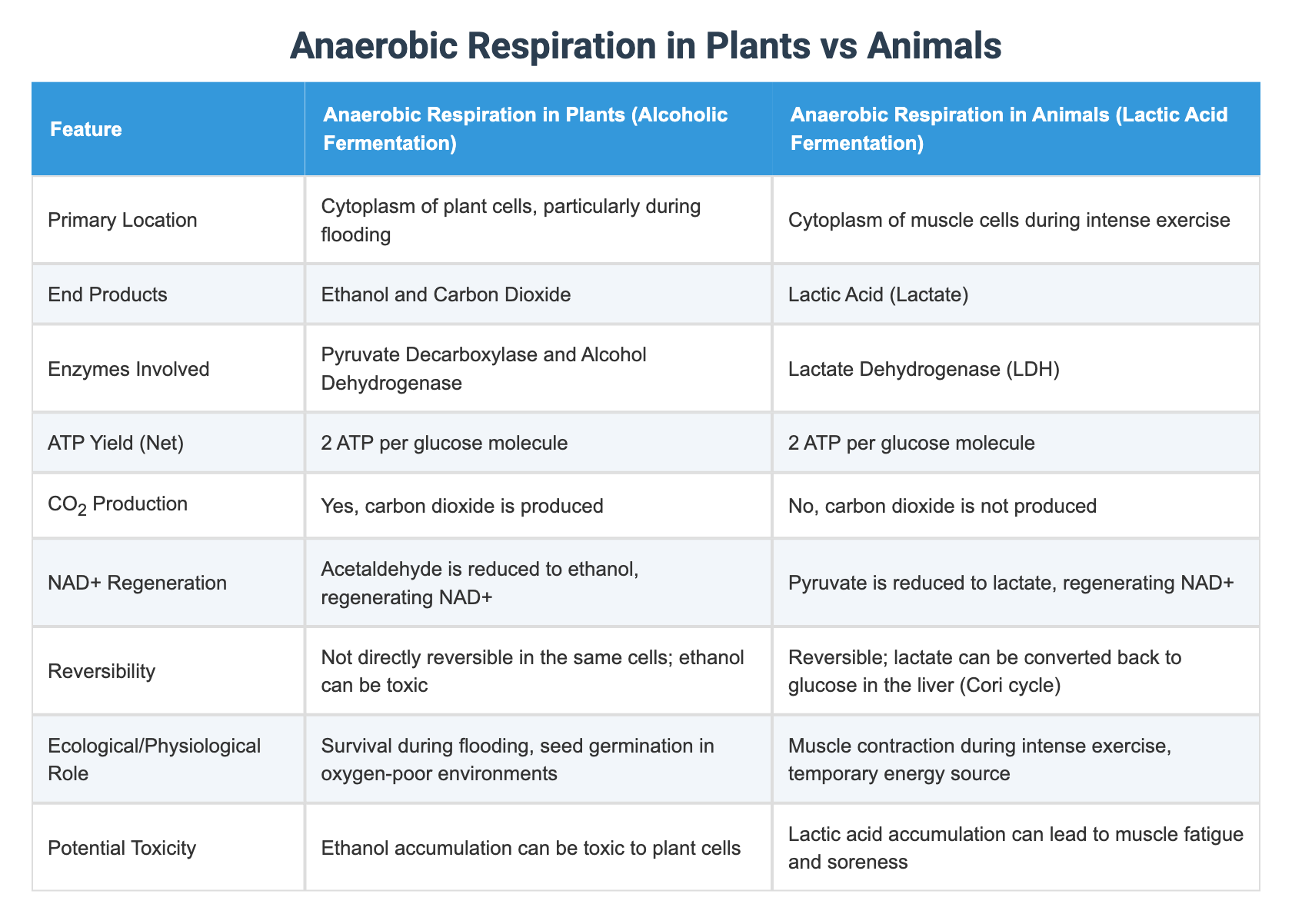 Anaerobic exercise visual data 3