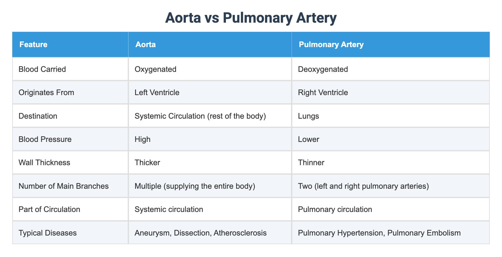 Aorta vs Pulmonary Artery
