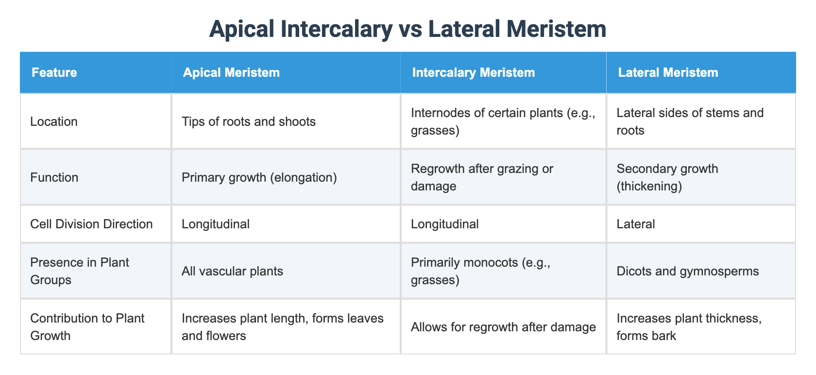 Apical Intercalary vs Lateral Meristem
