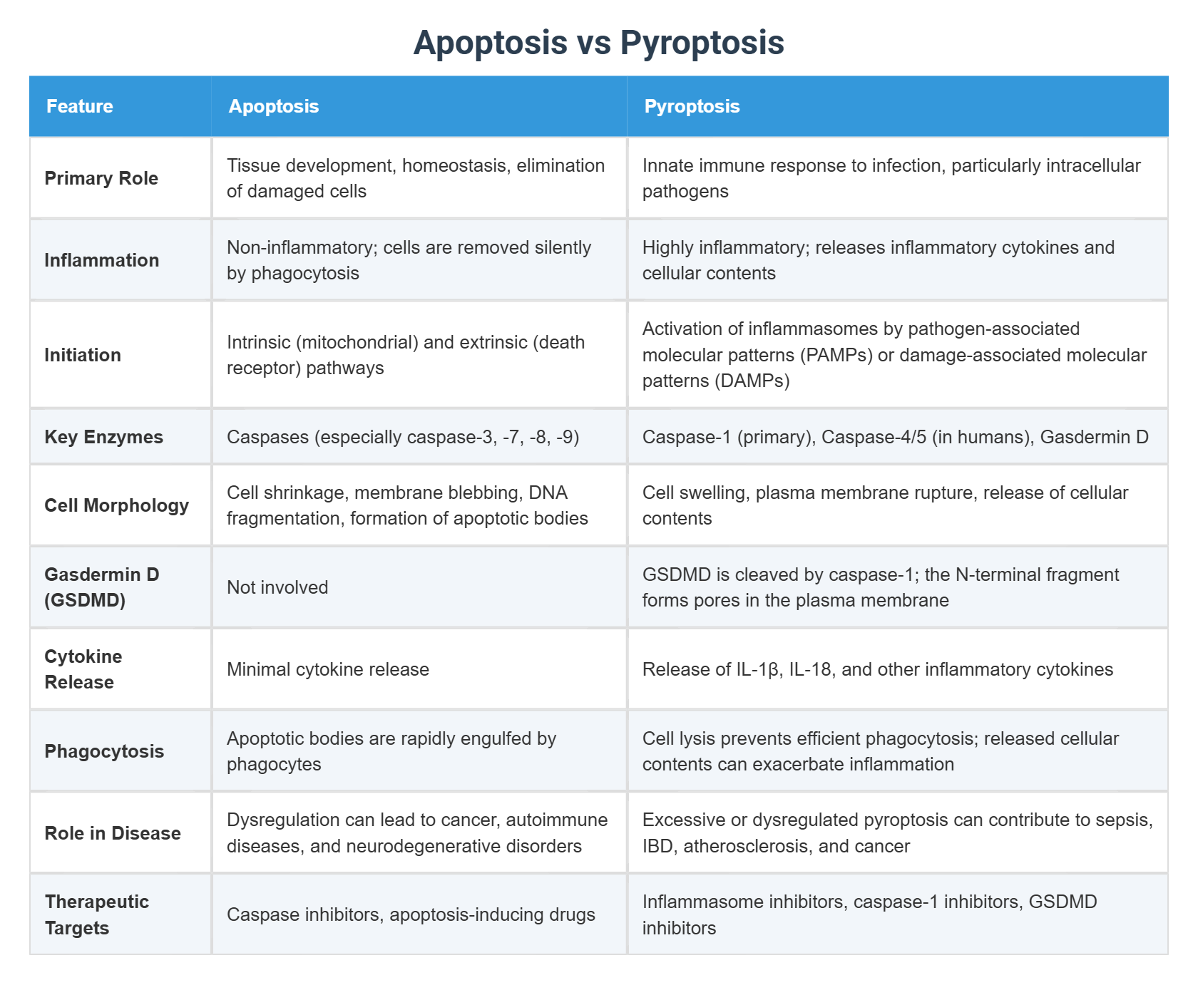 Apoptosis Vs Pyroptosis 