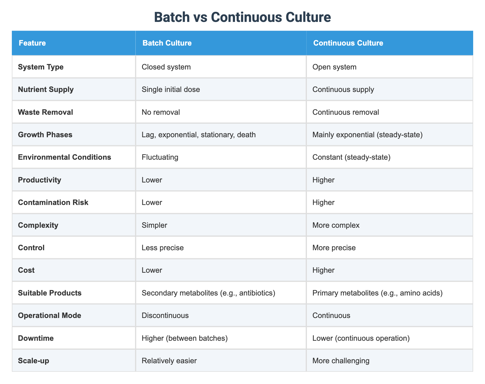 Batch vs Continuous Culture