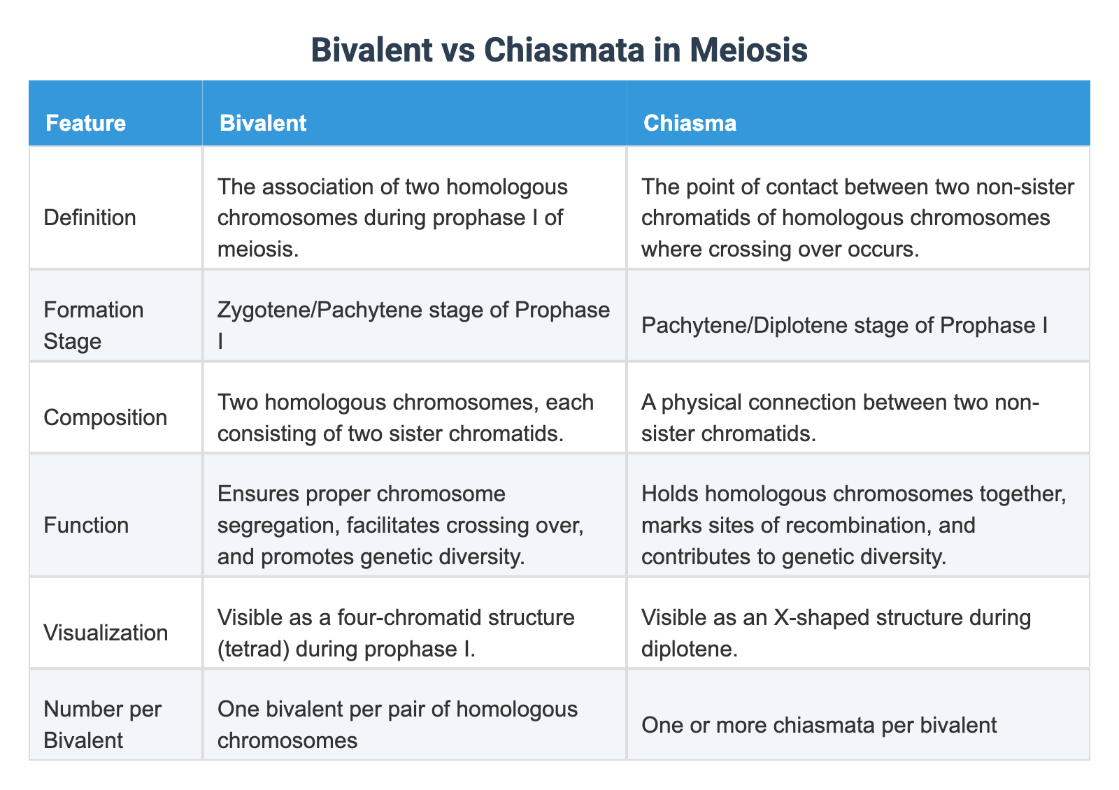 Bivalent vs Chiasmata in Meiosis
