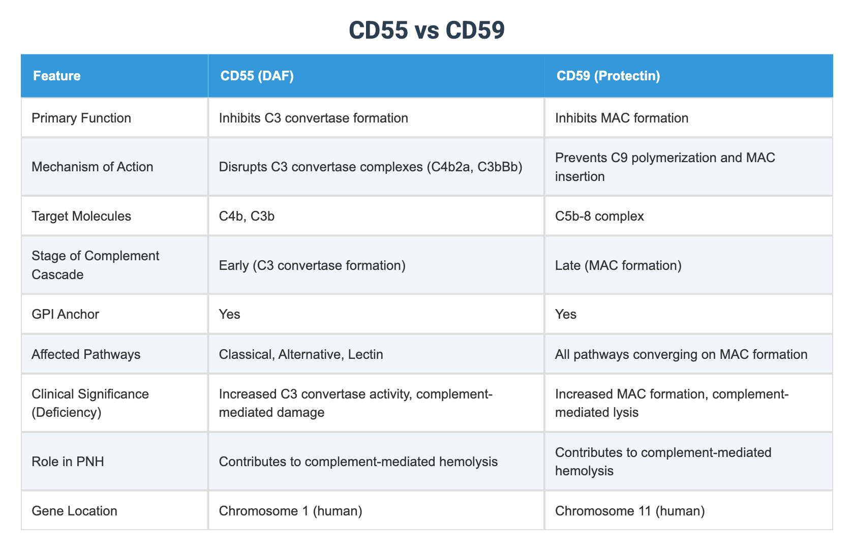 Complement Pathway Cd55 CD55 vs CD59